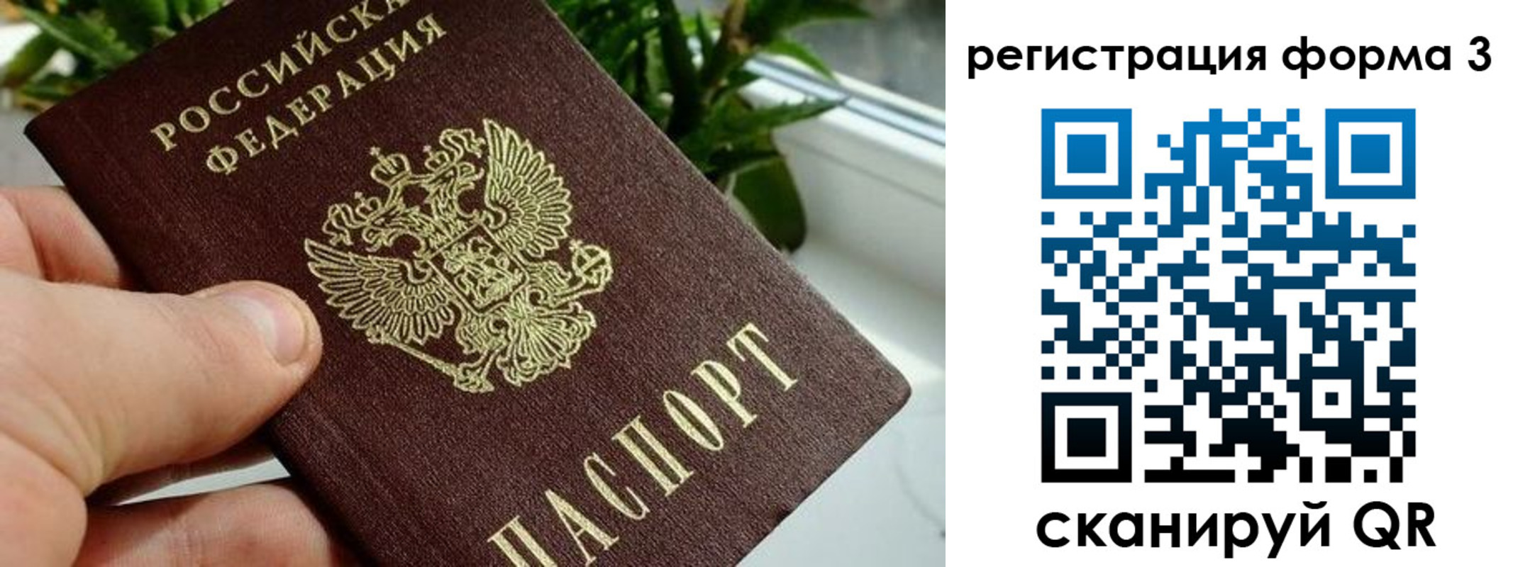 прописка штамп в Ахтубинске
